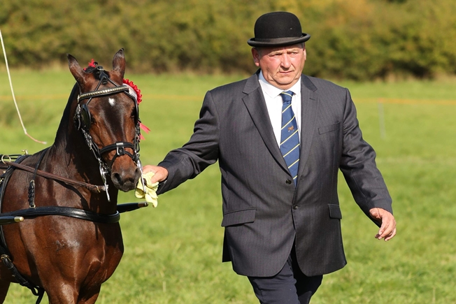 Noddy Vyse with Hackney pony - Image courtesy of Paul Orchard